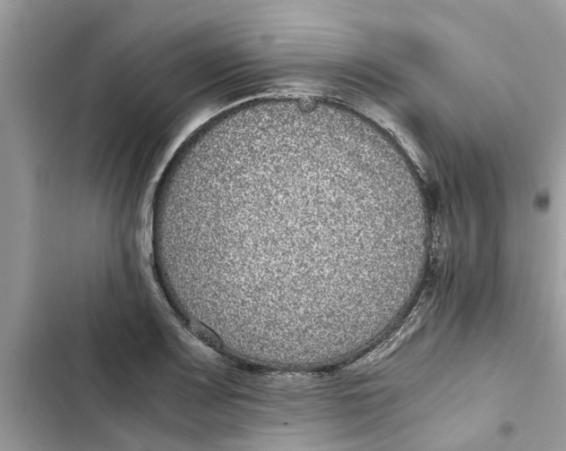 X0000103271083200809191736