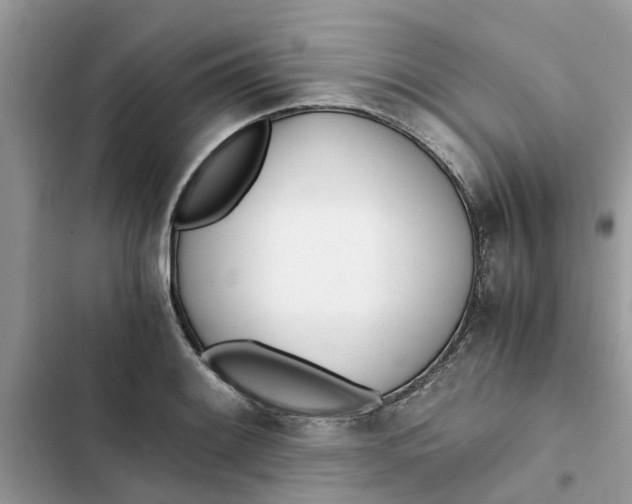 X0000103271084200809191736