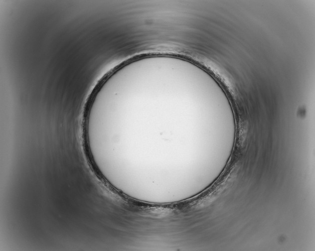 X0000103271085200809191736