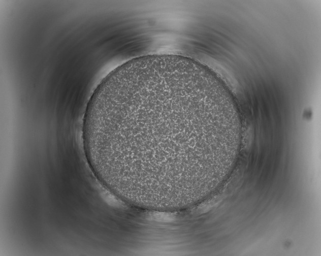 X0000103271086200809191736
