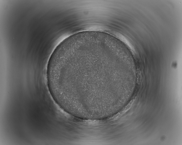 X0000103271087200809191736