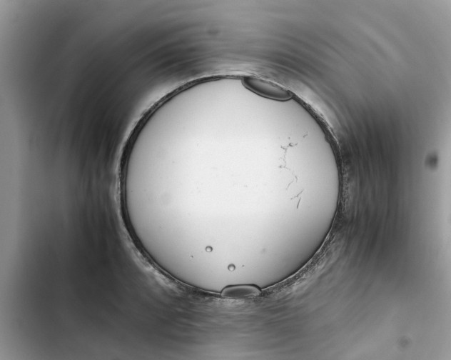X0000103271088200809191736