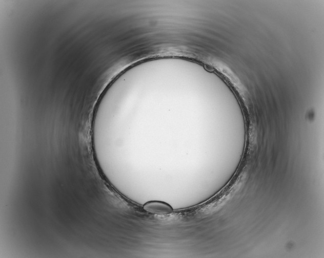 X0000103271089200809191736