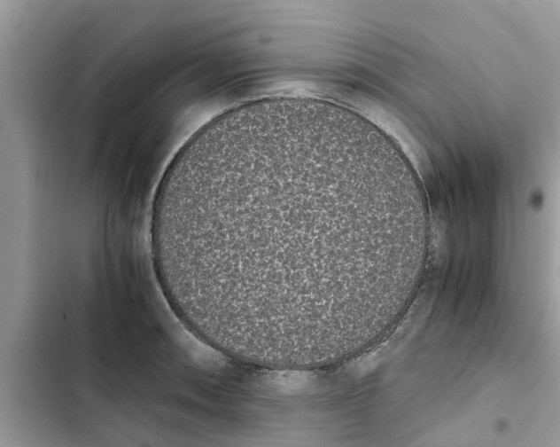 X0000103271090200809191736