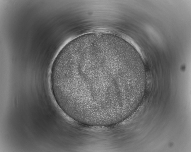 X0000103271091200809191736