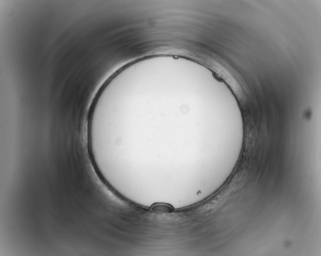 X0000103271092200809191736