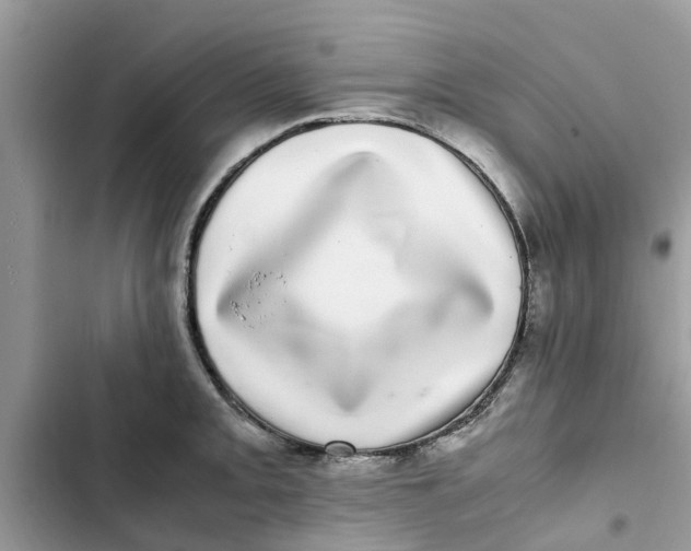 X0000103271093200809191736