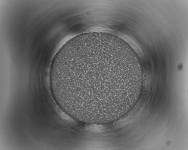 X0000103271094200809191736