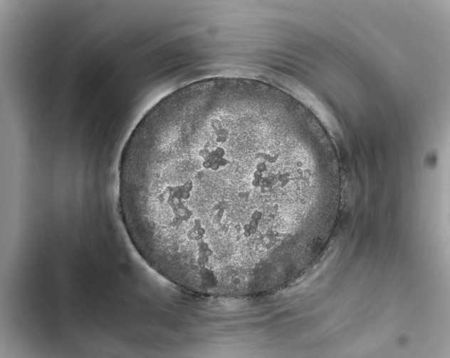 X0000103271095200809191736