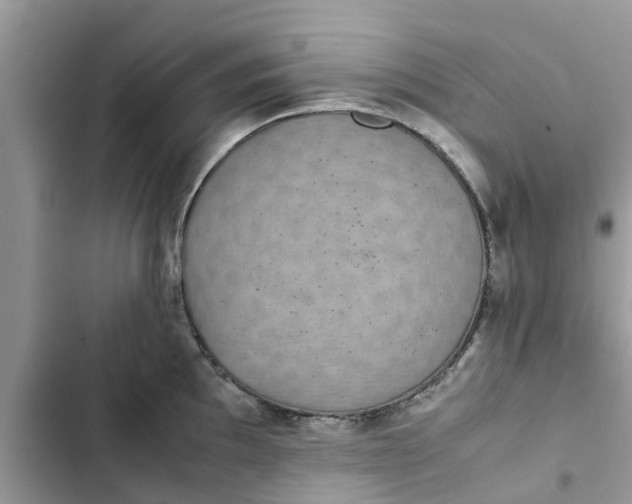 X0000103271097200809191736