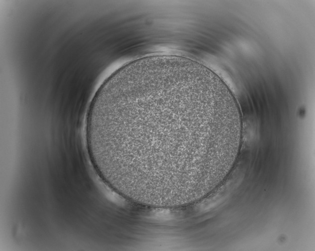 X0000103271098200809191736