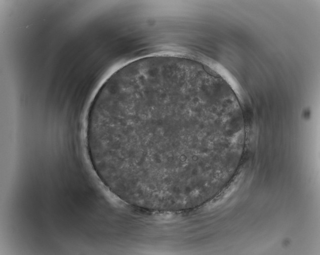 X0000103271099200809191736