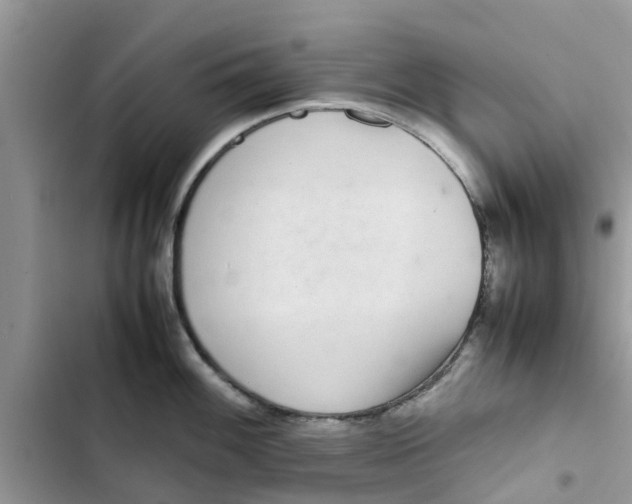 X0000103271100200809191736