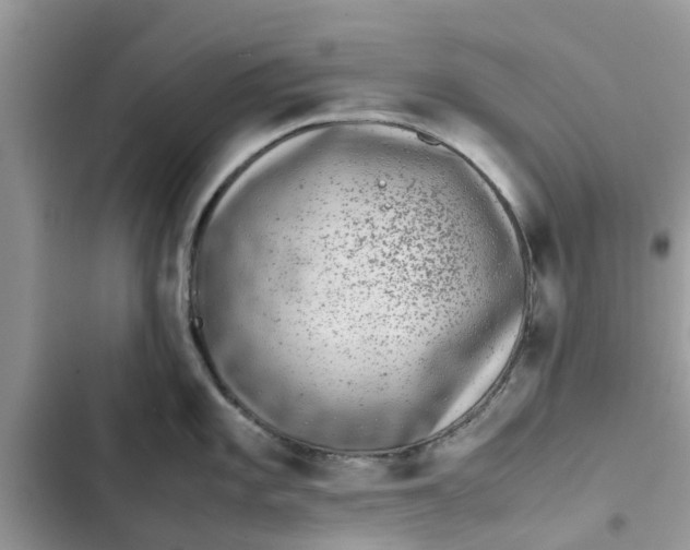 X0000103271101200809191736