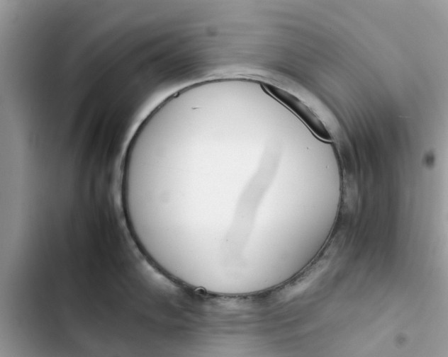X0000103271102200809191736