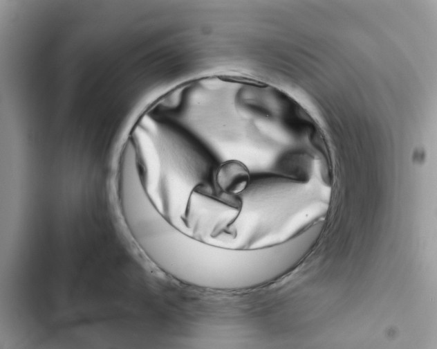 X0000103271104200809191736