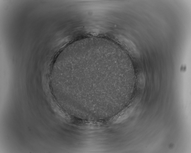 X0000103271105200809191735