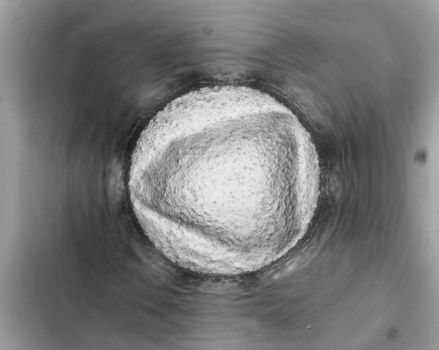 X0000103271106200809191735