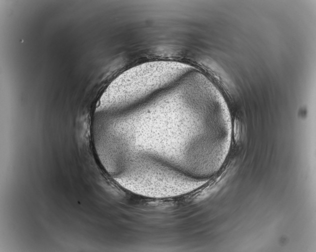 X0000103271107200809191735