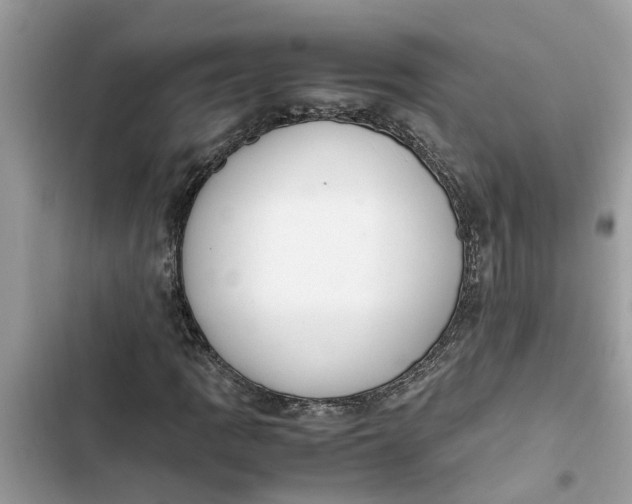 X0000103271109200809191735