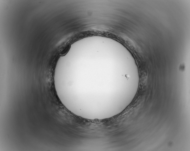 X0000103271110200809191735