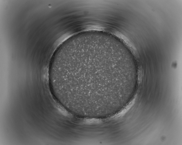 X0000103271113200809191735