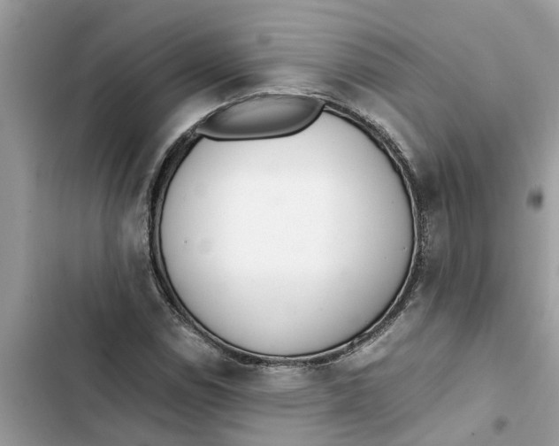 X0000103271114200809191735