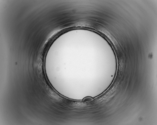 X0000103271115200809191735