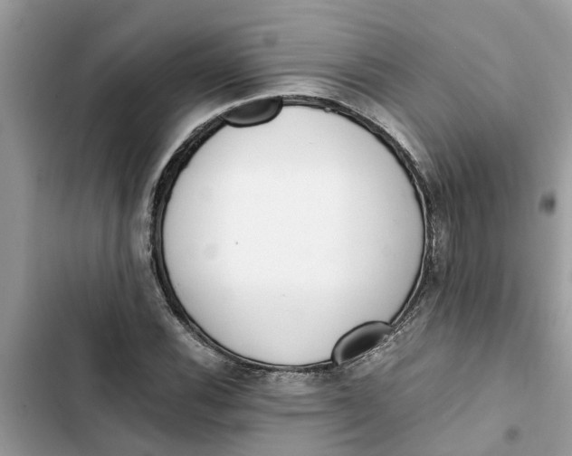 X0000103271116200809191736
