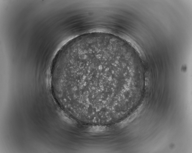 X0000103271117200809191736
