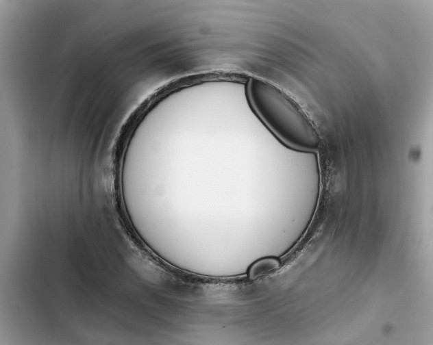 X0000103271118200809191736
