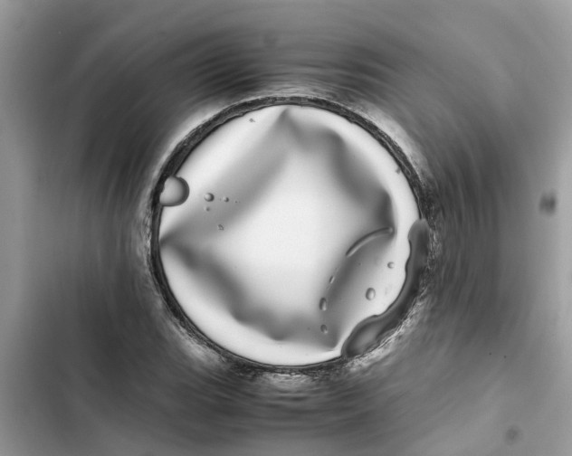 X0000103271119200809191736