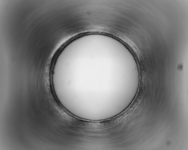 X0000103271120200809191736