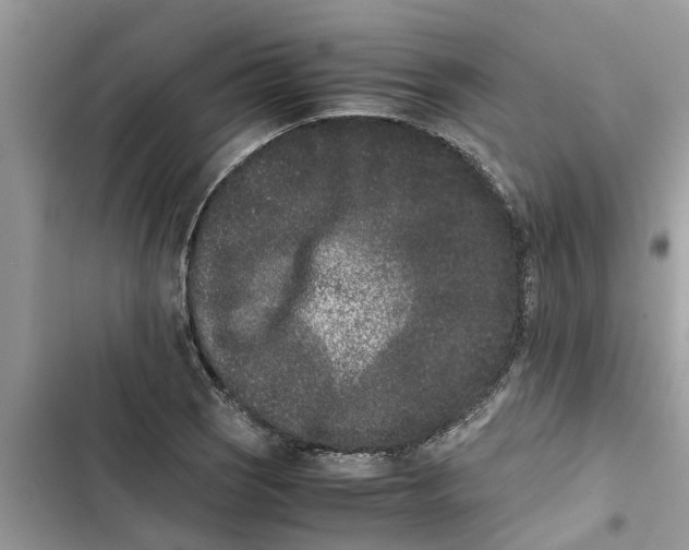 X0000103271121200809191736