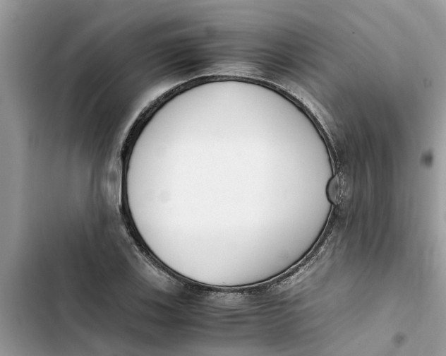 X0000103271123200809191736