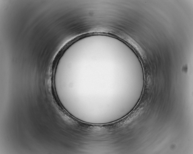 X0000103271124200809191736