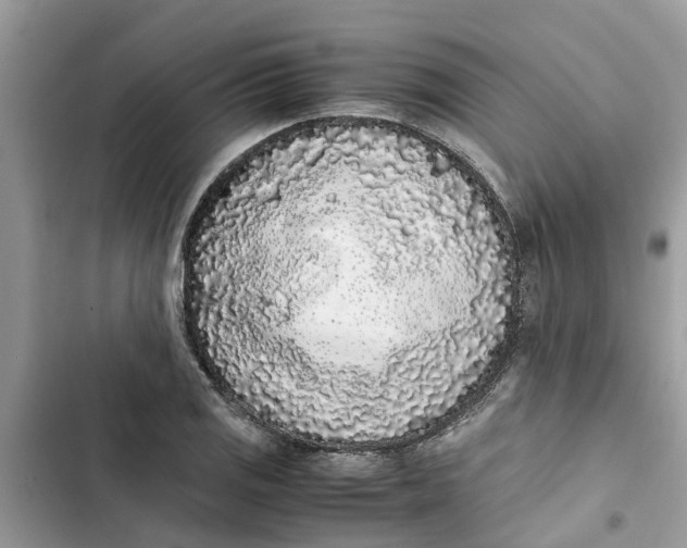 X0000103271125200809191736