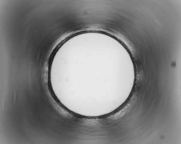 X0000103271126200809191736