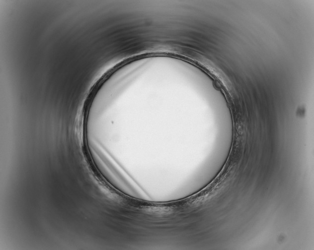X0000103271127200809191736