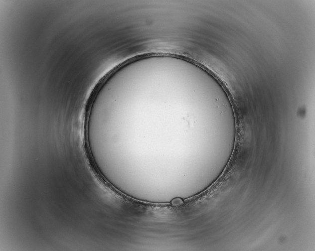 X0000103271128200809191736