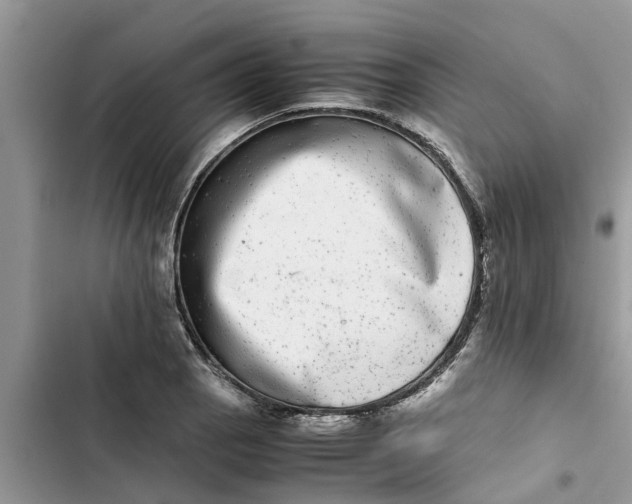 X0000103271129200809191736