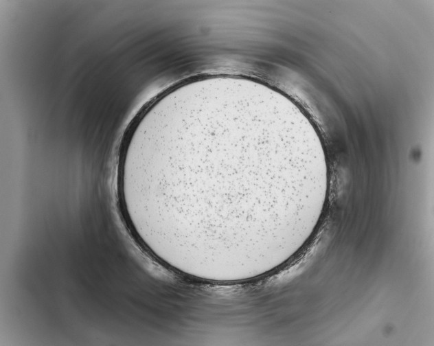X0000103271130200809191736
