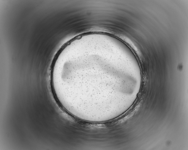 X0000103271133200809191736