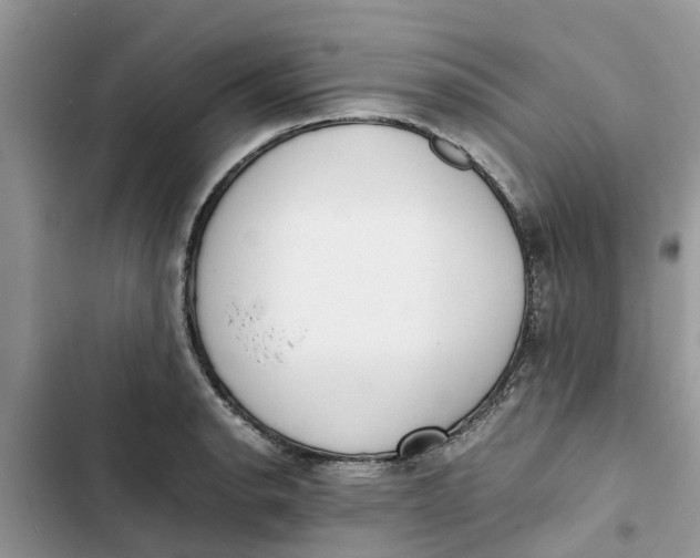 X0000103271134200809191736