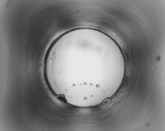 X0000103271136200809191736