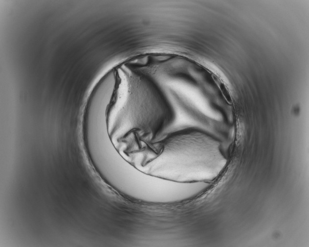 X0000103271138200809191736