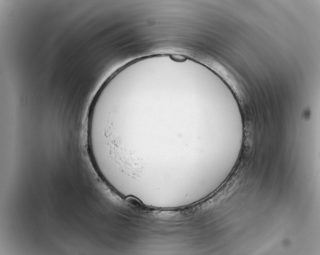 X0000103271140200809191736