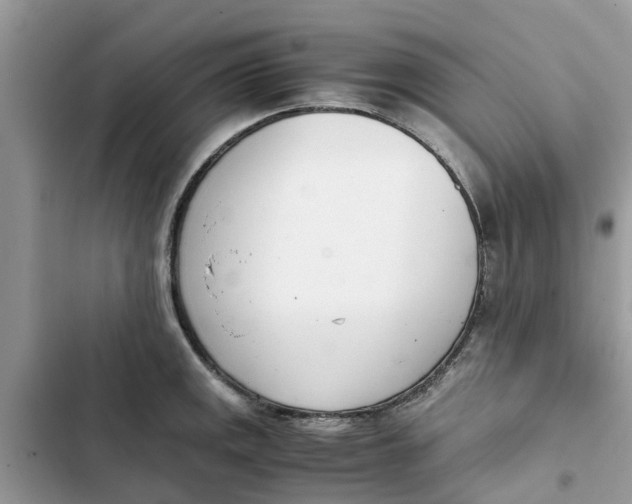 X0000103271141200809191736