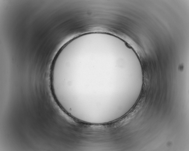 X0000103271142200809191736