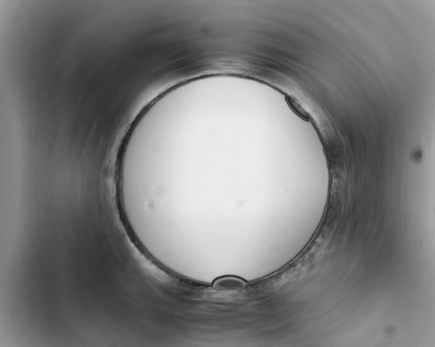 X0000103271143200809191736